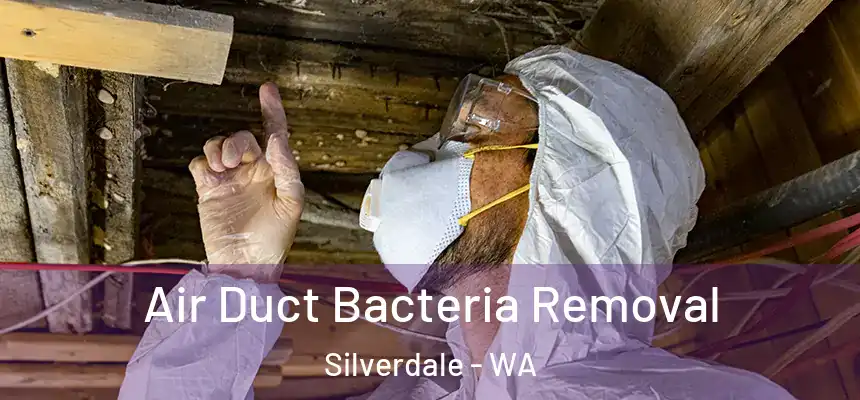  Air Duct Bacteria Removal Silverdale - WA