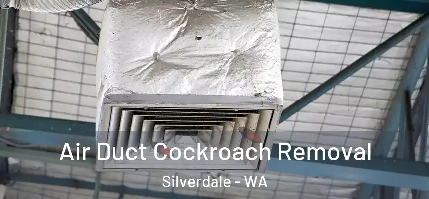  Air Duct Cockroach Removal Silverdale - WA