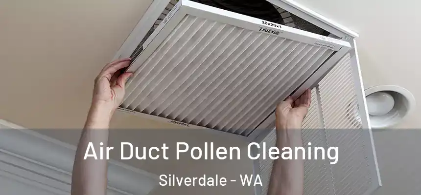  Air Duct Pollen Cleaning Silverdale - WA