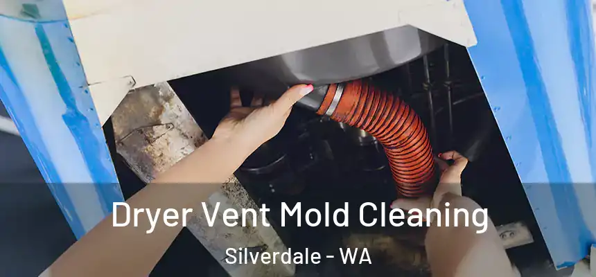  Dryer Vent Mold Cleaning Silverdale - WA