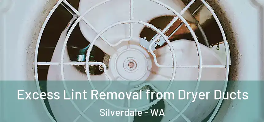 Excess Lint Removal from Dryer Ducts Silverdale - WA
