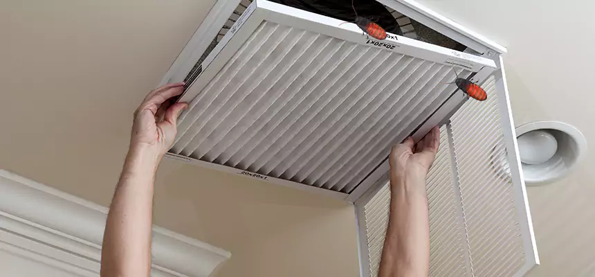 Preventive Cockroach-Proofing for Ducts in Silverdale