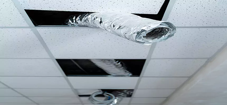 Affordable HVAC Sanitizing After Pest Removal in Silverdale