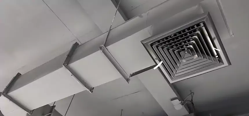 Our Pest Removal From Ducts Services in Silverdale, WA