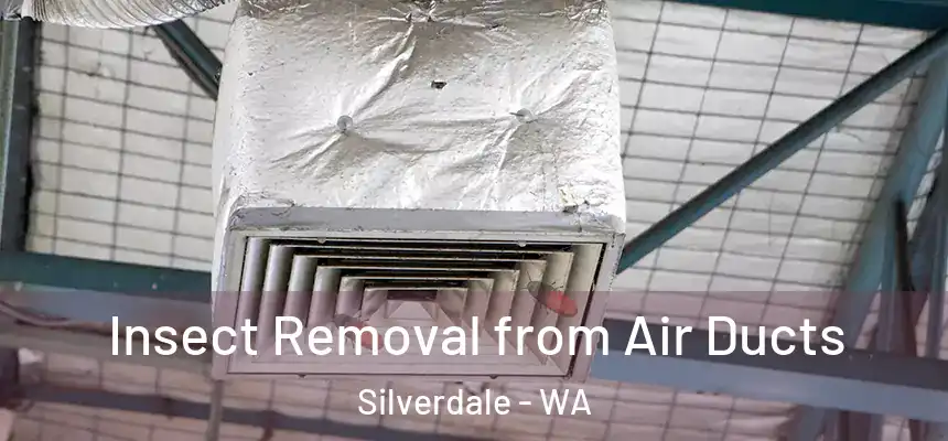  Insect Removal from Air Ducts Silverdale - WA