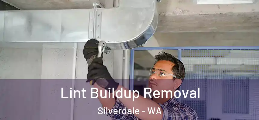  Lint Buildup Removal Silverdale - WA