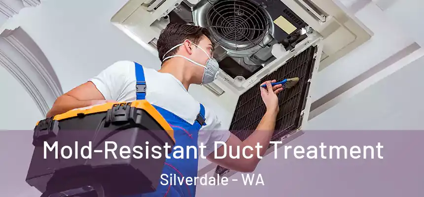  Mold-Resistant Duct Treatment Silverdale - WA