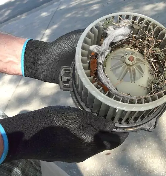 About Air Duct Mice Removal in Silverdale, WA