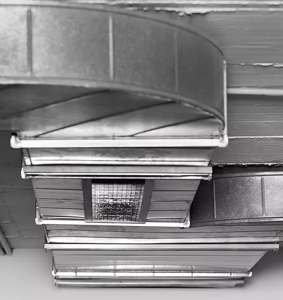 Professional Air Duct Pet Hair Removal in Silverdale, WA