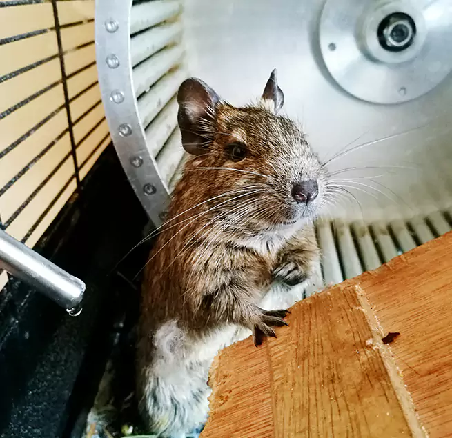 Why Homeowners & Businesses Trust Us Silverdale, WA?