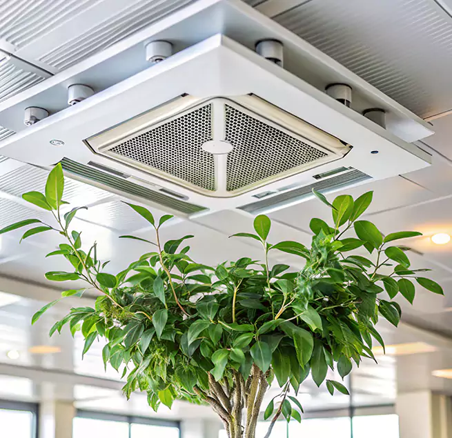 Why Homeowners & Businesses Trust Us in Silverdale, WA